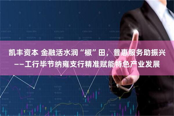 凯丰资本 金融活水润“椒”田，普惠服务助振兴——工行毕节纳雍支行精准赋能特色产业发展